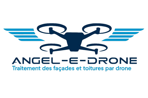 Logo Angel e drone HD